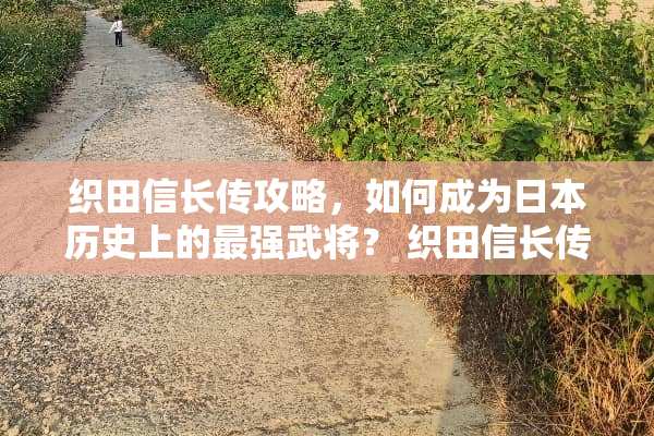 织田信长传攻略，如何成为日本历史上的最强武将？ 织田信长传攻略