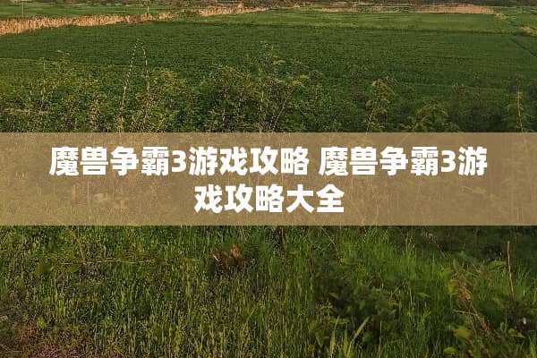 魔兽争霸3游戏攻略 魔兽争霸3游戏攻略大全