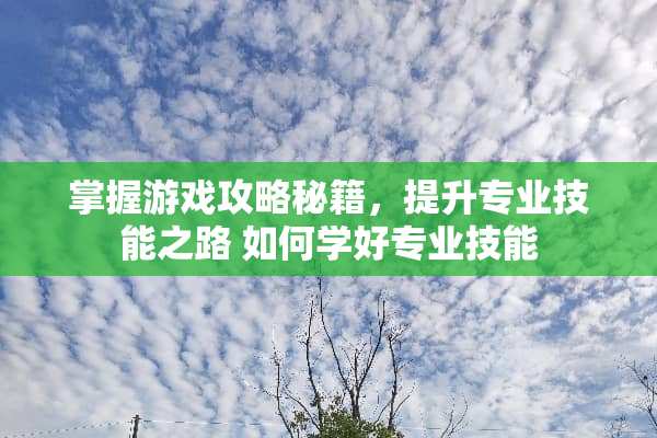 掌握游戏攻略秘籍，提升专业技能之路 如何学好专业技能