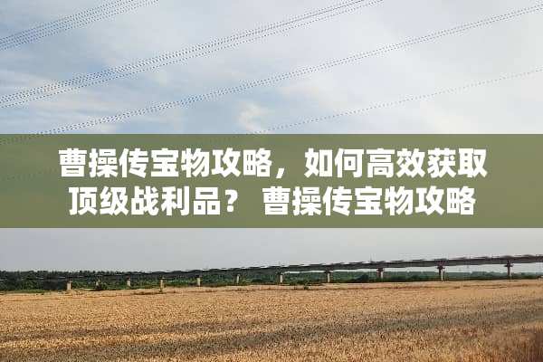 曹操传宝物攻略，如何高效获取**战利品？ 曹操传宝物攻略