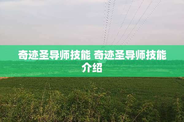 奇迹圣导师技能 奇迹圣导师技能介绍