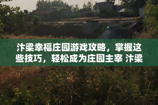 汴梁幸福庄园游戏攻略，掌握这些技巧，轻松成为庄园主宰 汴梁幸福庄园游戏攻略