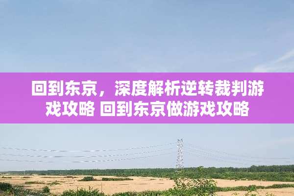 回到东京，深度解析逆转裁判游戏攻略 回到东京做游戏攻略