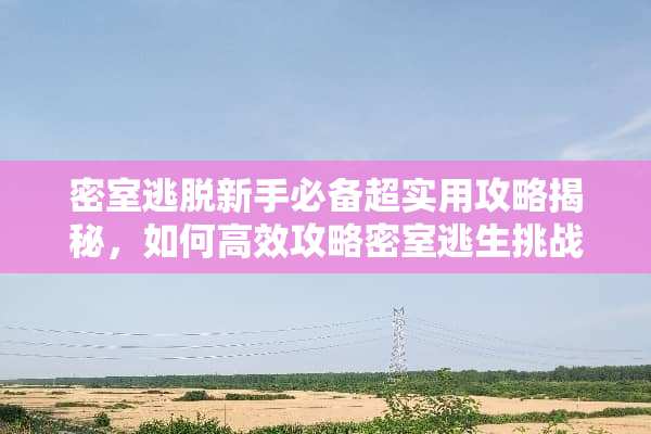 密室逃脱新手必备超实用攻略揭秘，如何高效攻略密室逃生挑战？ 密室逃生攻略