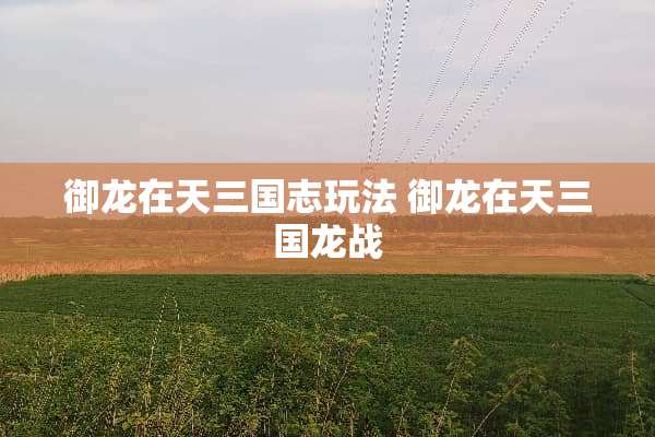 御龙在天三国志玩法 御龙在天三国龙战