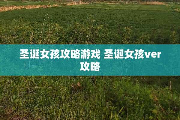 圣诞女孩攻略游戏 圣诞女孩ver攻略