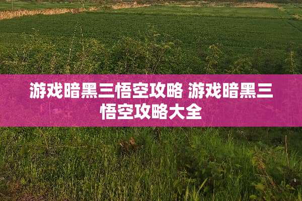 游戏暗黑三悟空攻略 游戏暗黑三悟空攻略大全