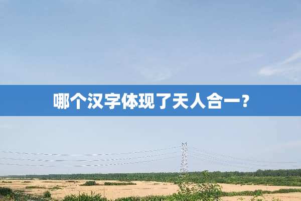 哪个汉字体现了天人合一？