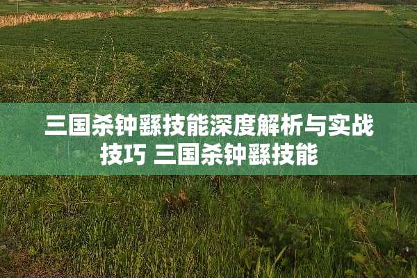 三国杀钟繇技能深度解析与实战技巧 三国杀钟繇技能