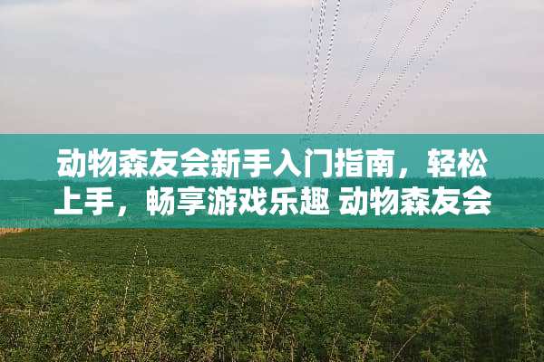 动物森友会新手入门指南，轻松上手，畅享游戏乐趣 动物森友会新手攻略
