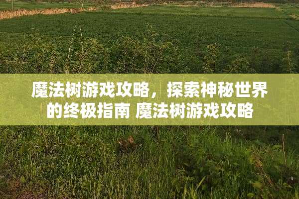 魔法树游戏攻略，探索神秘世界的终极指南 魔法树游戏攻略