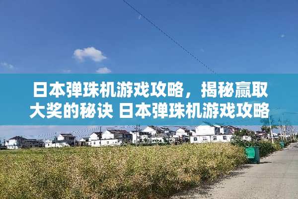 日本弹珠机游戏攻略，揭秘赢取大奖的秘诀 日本弹珠机游戏攻略