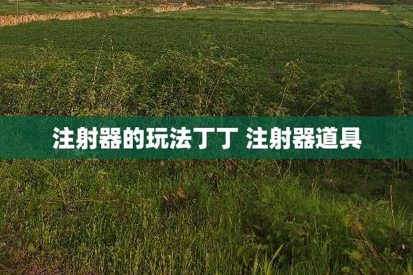 注射器的玩法丁丁 注射器道具