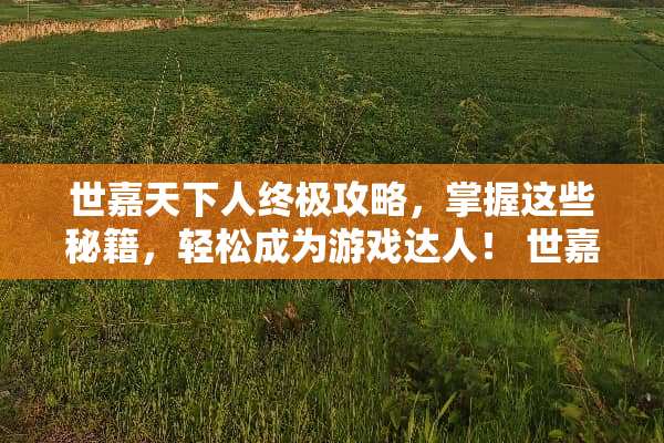 世嘉天下人终极攻略，掌握这些秘籍，轻松成为游戏达人！ 世嘉天下人游戏攻略