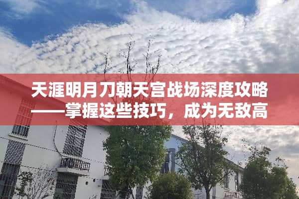 天涯明月刀朝天宫战场深度攻略——掌握这些技巧，成为无敌高手！ 天刀朝天宫攻略