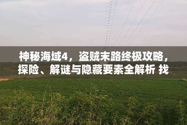 神秘海域4，盗贼末路终极攻略，探险、解谜与隐藏要素全解析 找新游戏攻略