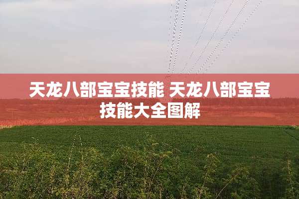 天龙八部宝宝技能 天龙八部宝宝技能大全图解