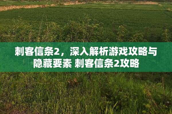 刺客信条2，深入解析游戏攻略与隐藏要素 刺客信条2攻略