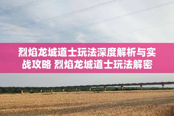 烈焰龙城道士玩法深度解析与实战攻略 烈焰龙城道士玩法解密