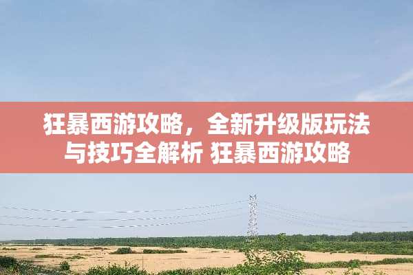 狂暴西游攻略，全新升级版玩法与技巧全解析 狂暴西游攻略