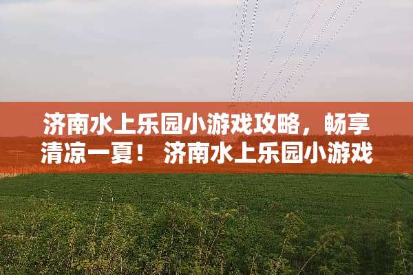 济南水上乐园小游戏攻略，畅享清凉一夏！ 济南水上乐园小游戏攻略