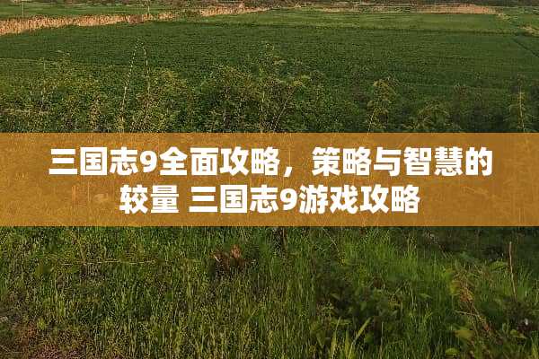 三国志9全面攻略，策略与智慧的较量 三国志9游戏攻略