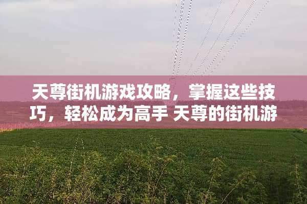天尊街机游戏攻略，掌握这些技巧，轻松成为高手 天尊的街机游戏攻略
