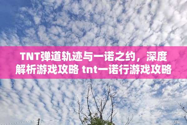 TNT弹道轨迹与一诺之约，深度解析游戏攻略 tnt一诺行游戏攻略