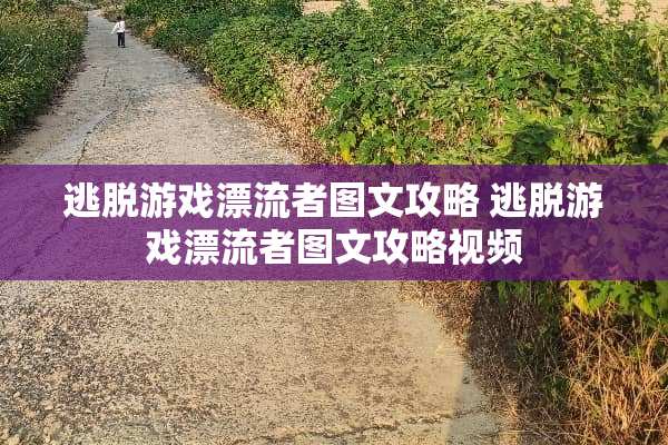 逃脱游戏漂流者图文攻略 逃脱游戏漂流者图文攻略视频