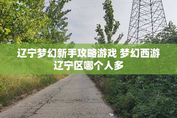 辽宁梦幻新手攻略游戏 梦幻西游辽宁区哪个人多