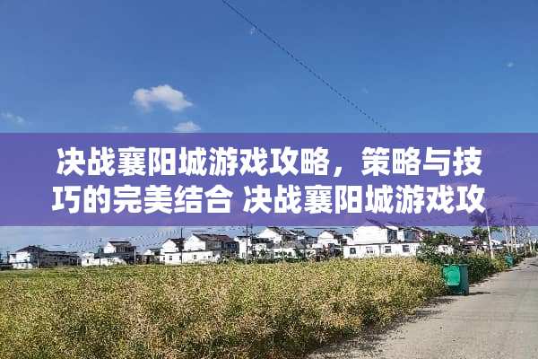决战襄阳城游戏攻略，策略与技巧的完美结合 决战襄阳城游戏攻略