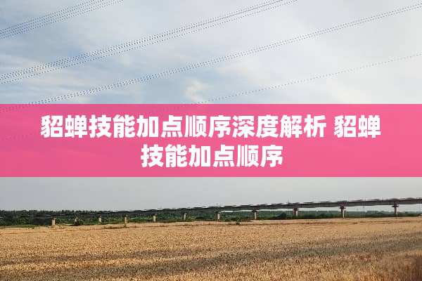 貂蝉技能加点顺序深度解析 貂蝉技能加点顺序