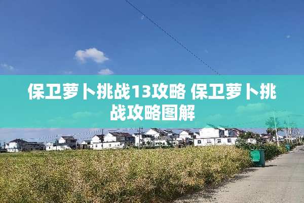 保卫萝卜挑战13攻略 保卫萝卜挑战攻略图解