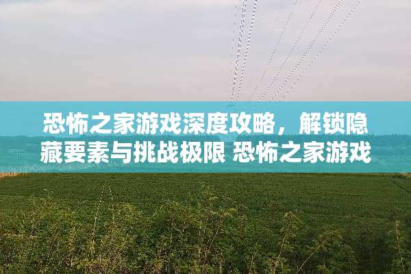 恐怖之家游戏深度攻略，解锁隐藏要素与挑战极限 恐怖之家游戏攻略