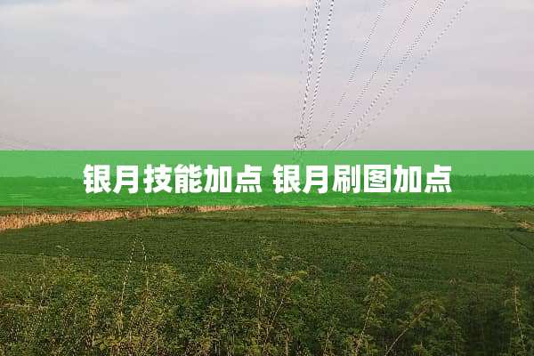 银月技能加点 银月刷图加点