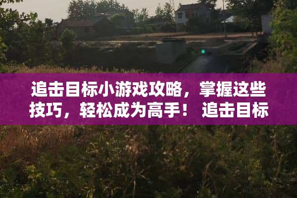 追击目标小游戏攻略，掌握这些技巧，轻松成为高手！ 追击目标小游戏攻略