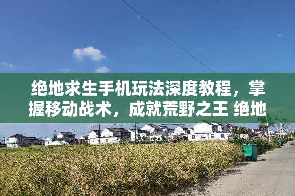 绝地求生手机玩法深度教程，掌握移动战术，成就荒野之王 绝地求生手机玩法教程