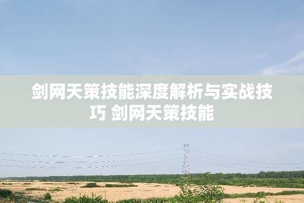 剑网天策技能深度解析与实战技巧 剑网天策技能
