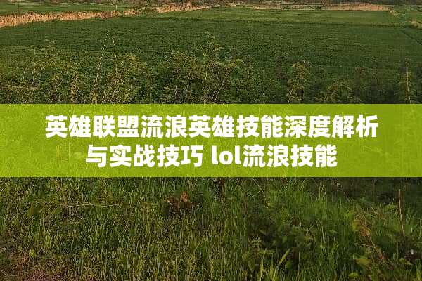 英雄联盟流浪英雄技能深度解析与实战技巧 lol流浪技能