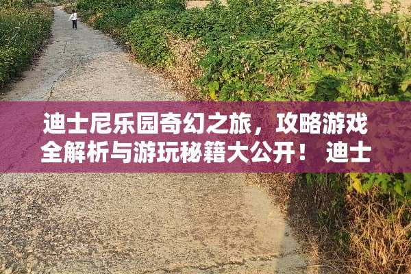 迪士尼乐园奇幻之旅，攻略游戏全解析与游玩秘籍大公开！ 迪士尼攻略游戏