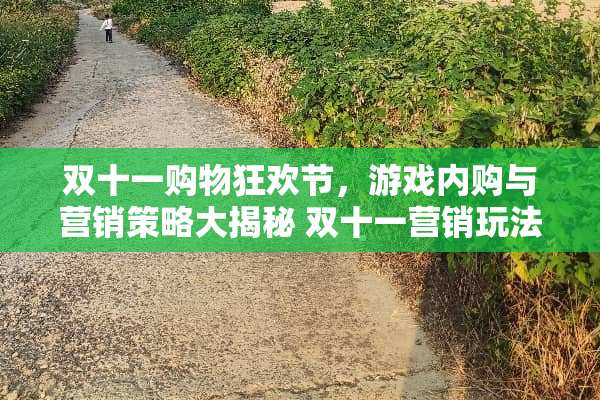 双十一购物狂欢节，游戏内购与营销策略大揭秘 双十一营销玩法