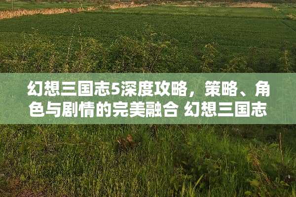 幻想三国志5深度攻略，策略、角色与剧情的完美融合 幻想三国志5攻略
