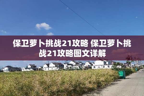 保卫萝卜挑战21攻略 保卫萝卜挑战21攻略图文详解