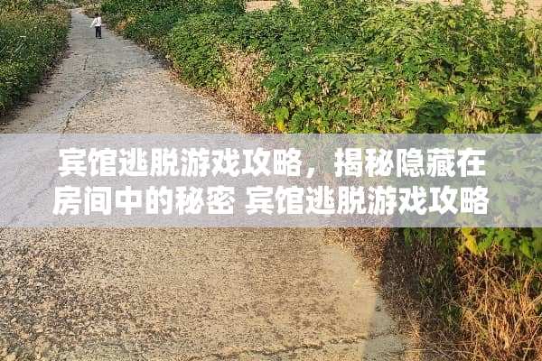 宾馆逃脱游戏攻略，揭秘隐藏在房间中的秘密 宾馆逃脱游戏攻略