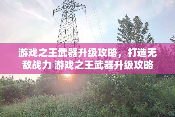 游戏之王**升级攻略，打造无敌战力 游戏之王**升级攻略