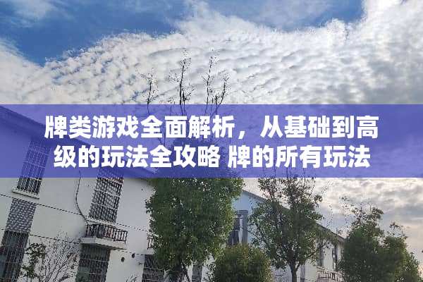 牌类游戏全面解析，从基础到高级的玩法全攻略 牌的所有玩法