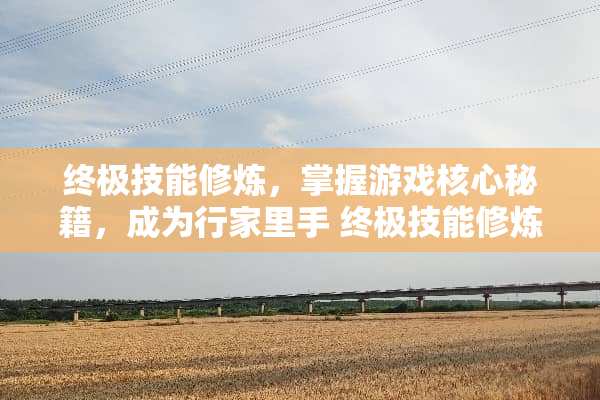 终极技能**，掌握游戏核心秘籍，成为行家里手 终极技能**