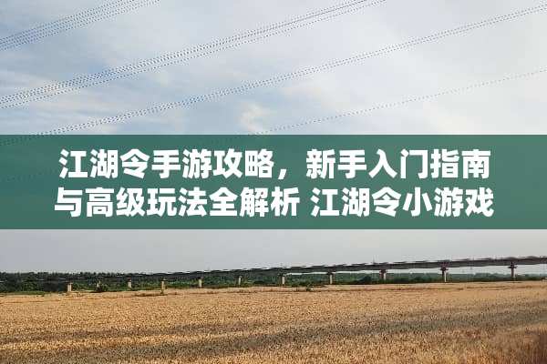 江湖令手游攻略，新手入门指南与高级玩法全解析 江湖令小游戏攻略