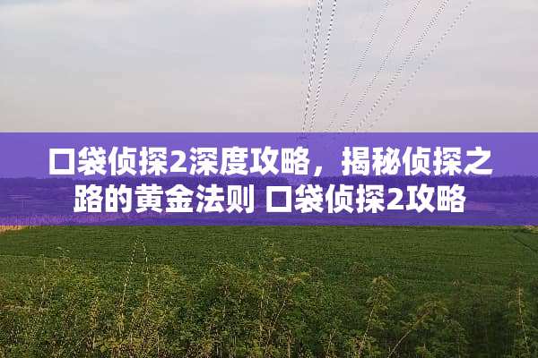 口袋侦探2深度攻略，揭秘侦探之路的黄金法则 口袋侦探2攻略