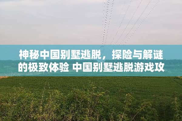 神秘中国别墅逃脱，探险与解谜的极致体验 中国别墅逃脱游戏攻略